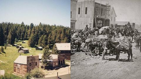 MSN Feature Image - 2025-02-20T142842.065