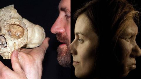 MSN Feature Image - 2025-02-21T114827.185