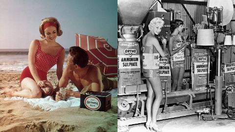 MSN Feature Image - 2025-02-21T124600.723