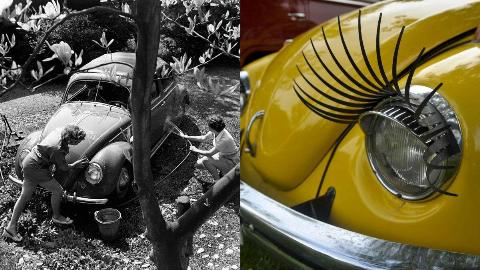 MSN Feature Image - 2025-02-24T112748.154