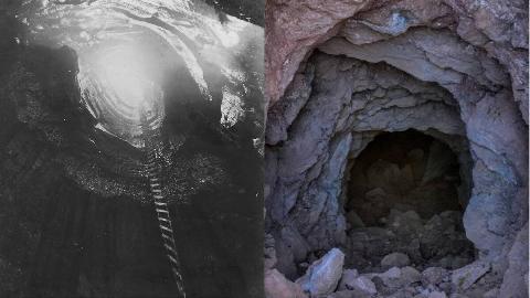 MSN Feature Image - 2025-02-27T101336.825