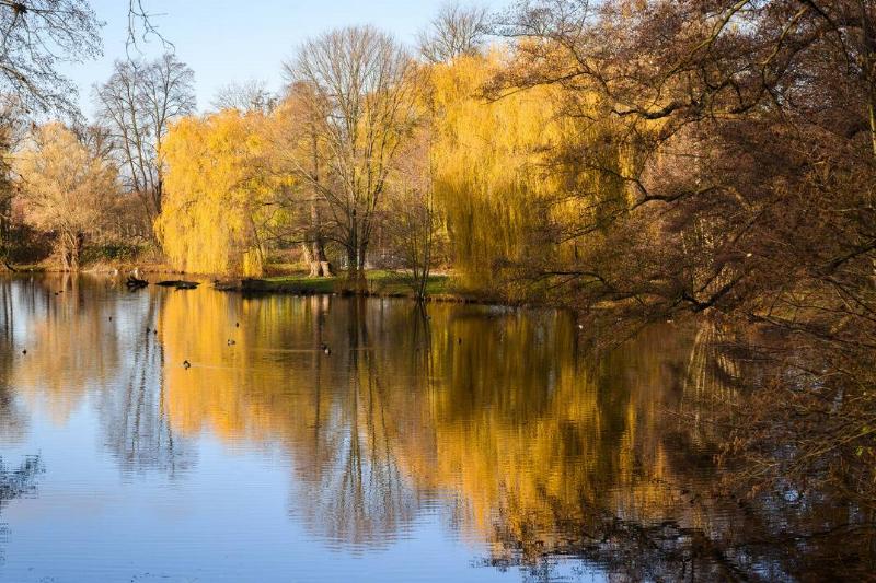 Autumn 2024 too warm too