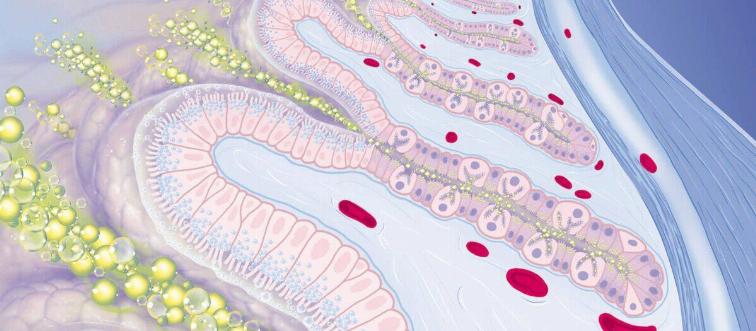 GASTRO-OESOPHAGEAL REFLUX