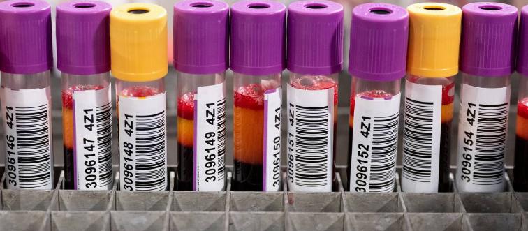 World Blood Donor Day