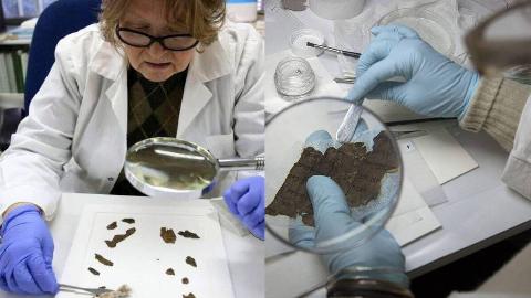 MSN Feature Image - 2025-03-04T152403.593