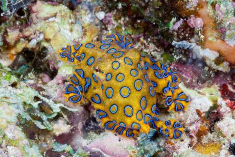 gettyimages-883204408-61564-800x534-1-79550