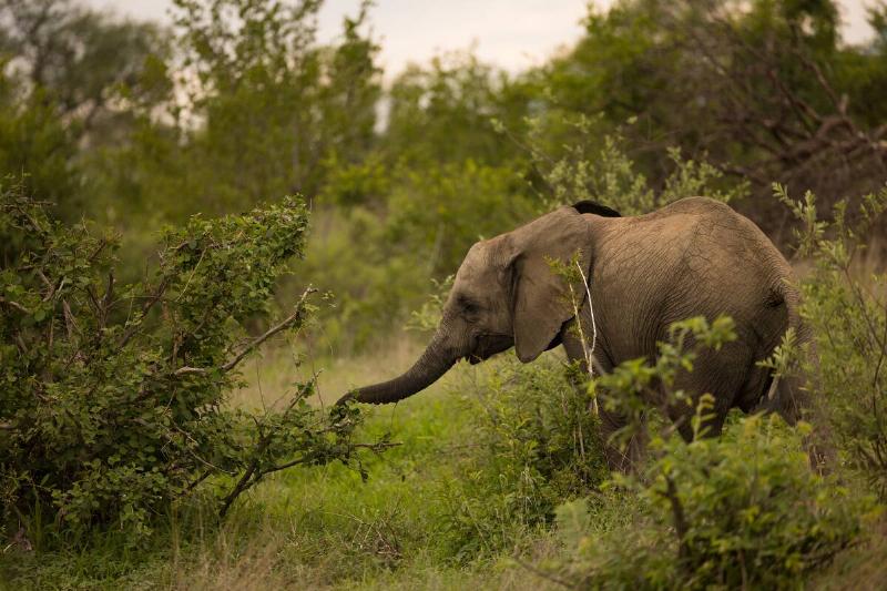 South Africa General Views