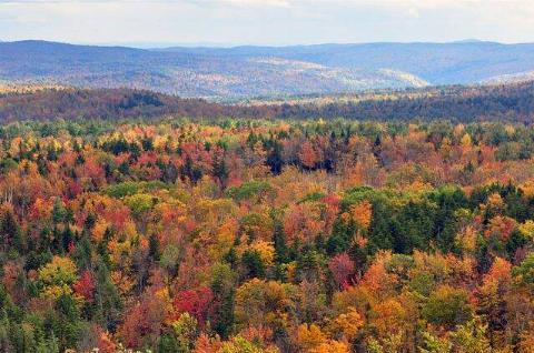 Fall foliage, Vermont