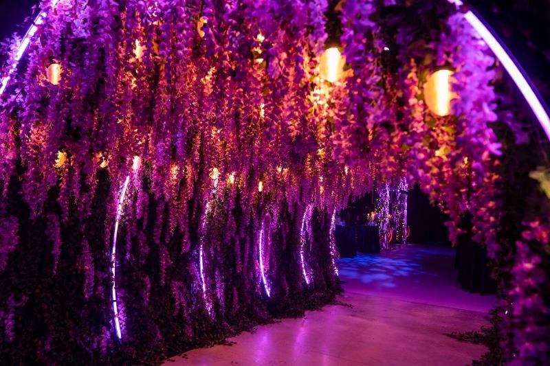 Wisteria Flower Tunnel at the entrance of the exhibit in...