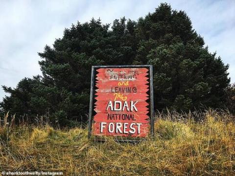 26909810-8196117-image-a-15_1586264287987-600x450-1-10872