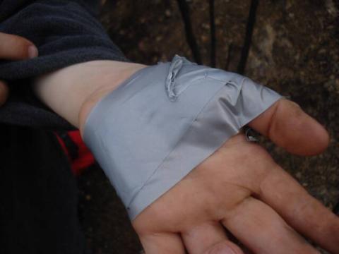 3960385835_00f651e3d8_o-640x480-1-32939