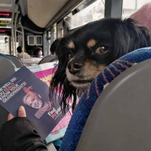 Apple News - 2025-05-20T142227.291