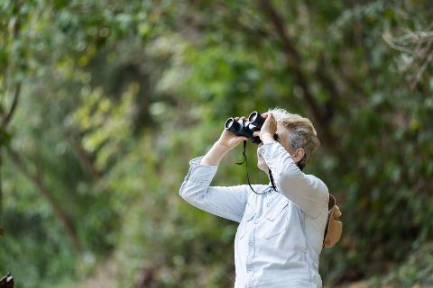 A woman stands in a lush forest, using binoculars to observe wildlife.