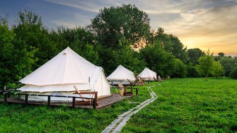 Glamping tents in nature with green grass at sunset.