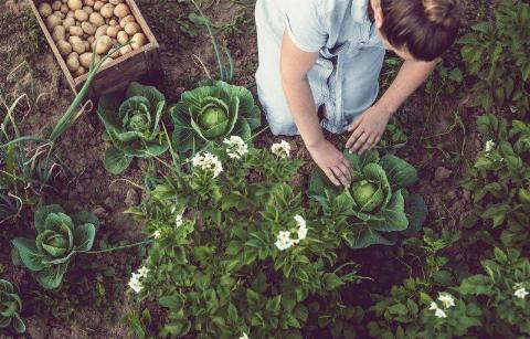 istock-801120324-800x513-1-38491