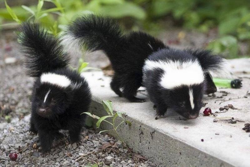 istock-811478202-800x520-1-12437