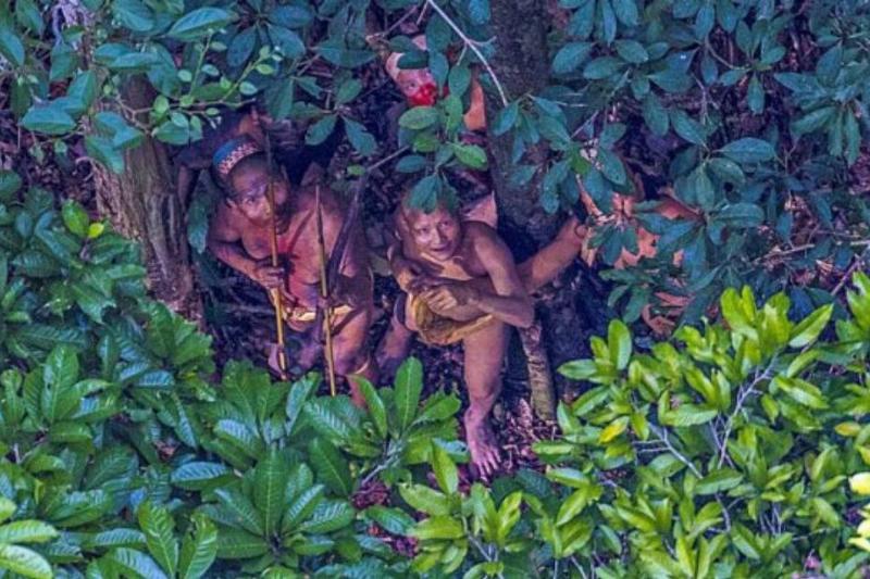 People looking up at the camera through trees. 