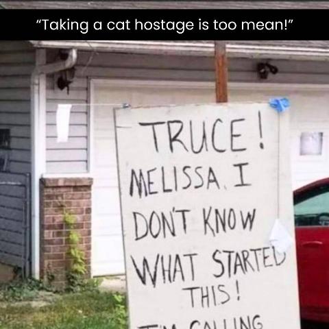 Add a subheading (10)