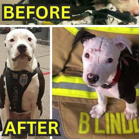 Add a subheading (13)