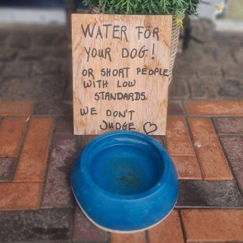 Apple News - 2025-06-20T133501.003