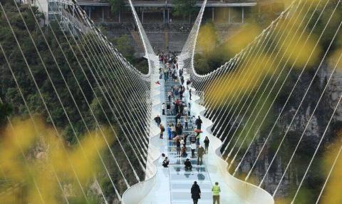 gettyimages-1790169586-52909-800x478-1-90869