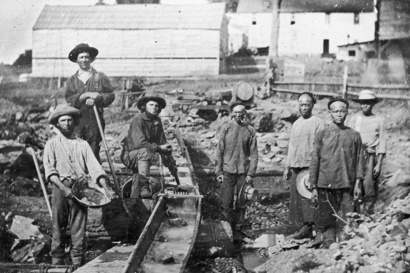 White And Chinese Gold Miners