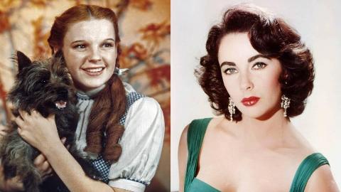 MSN Feature Image - 2025-07-29T153054.073