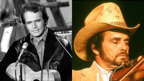 MSN Feature Image - 2025-07-31T110833.780