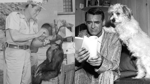 MSN Feature Image (72)