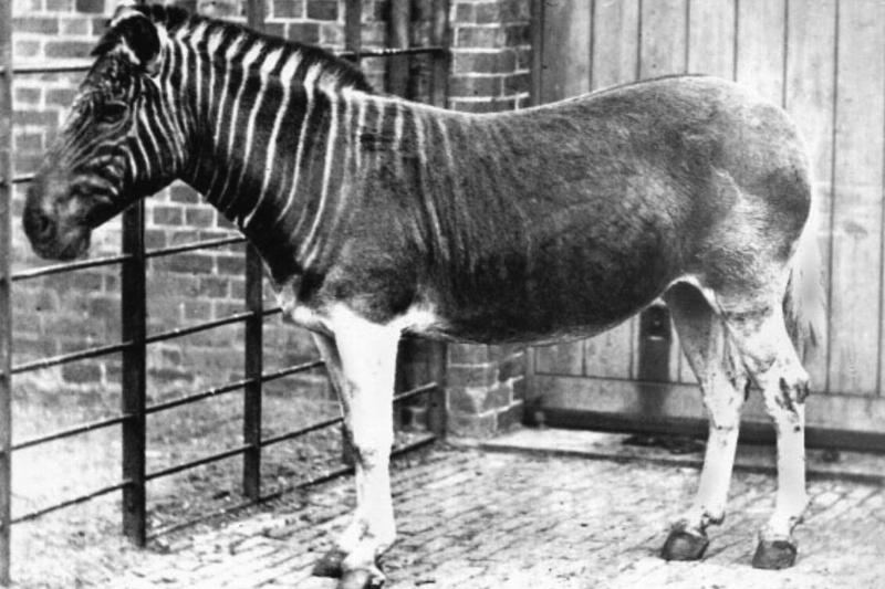 Screen Shot 2025-07-29 at 11.05.48 AM