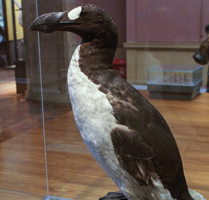 Screen Shot 2025-07-29 at 11.07.20 AM