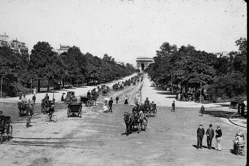 Bois De Boulogne Avenue View