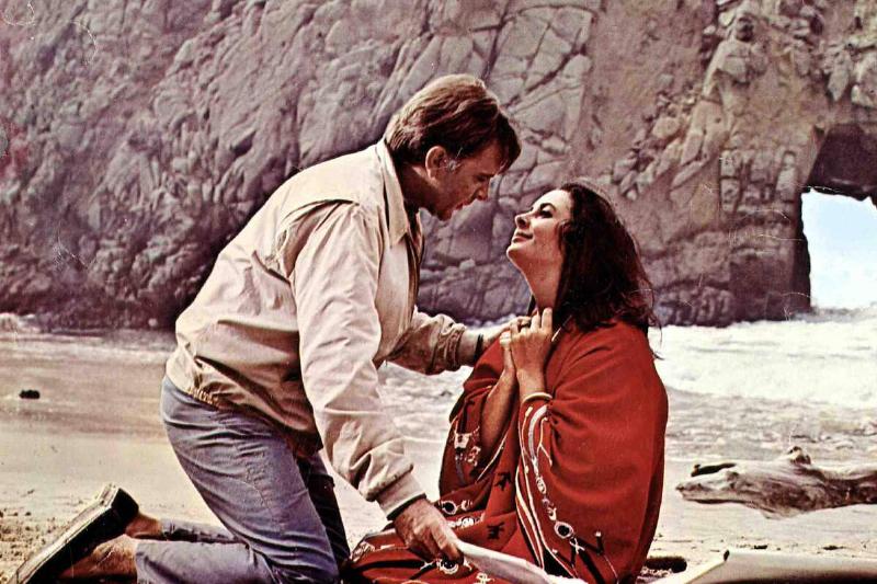 Die Alles Begehren, Sandpiper, The