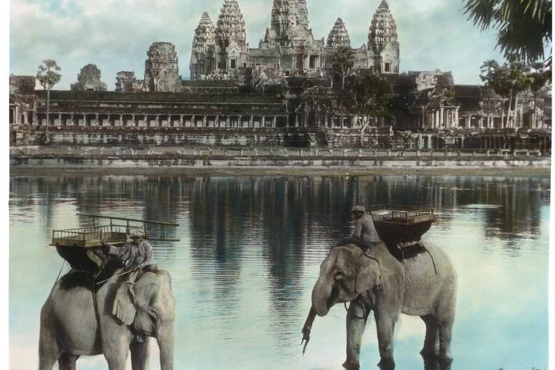 Elephants At Angkor Wat