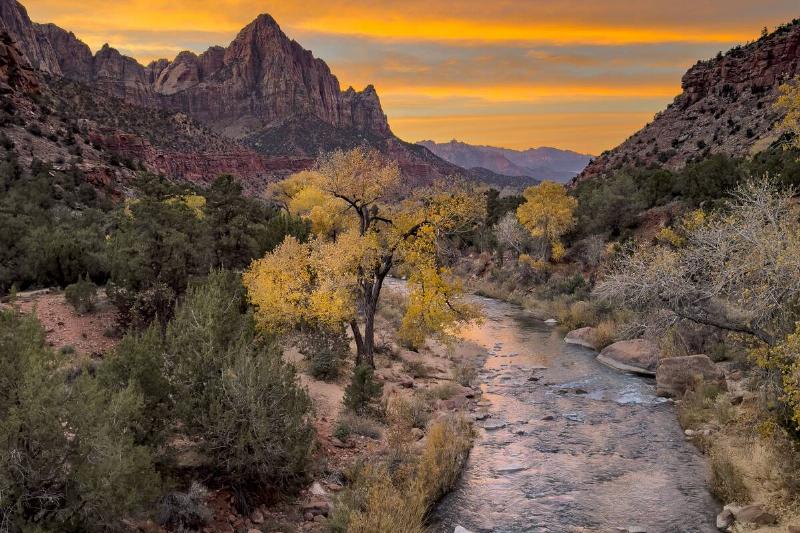 Exploring Autumn in Utah's Zion National Park