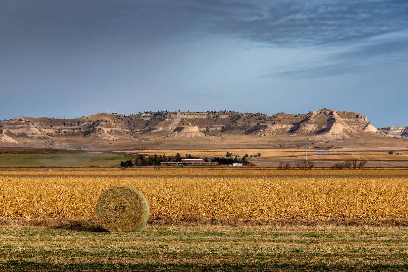 Hay bale on a harvested field