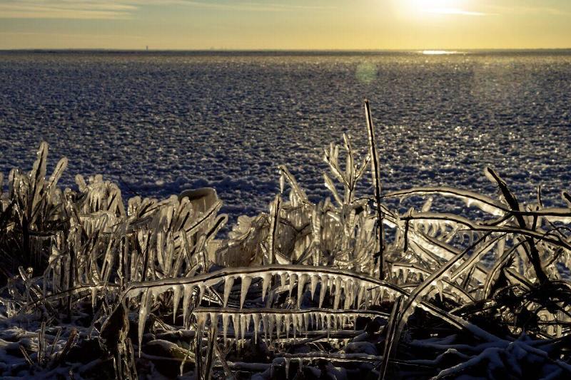 Ice on Shore of Lake St. Clair