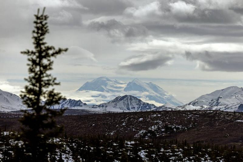 North America's Highest Peak Mt. McKinley, Denali National Park