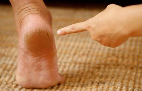 or1363-49987-800x513-1-46143