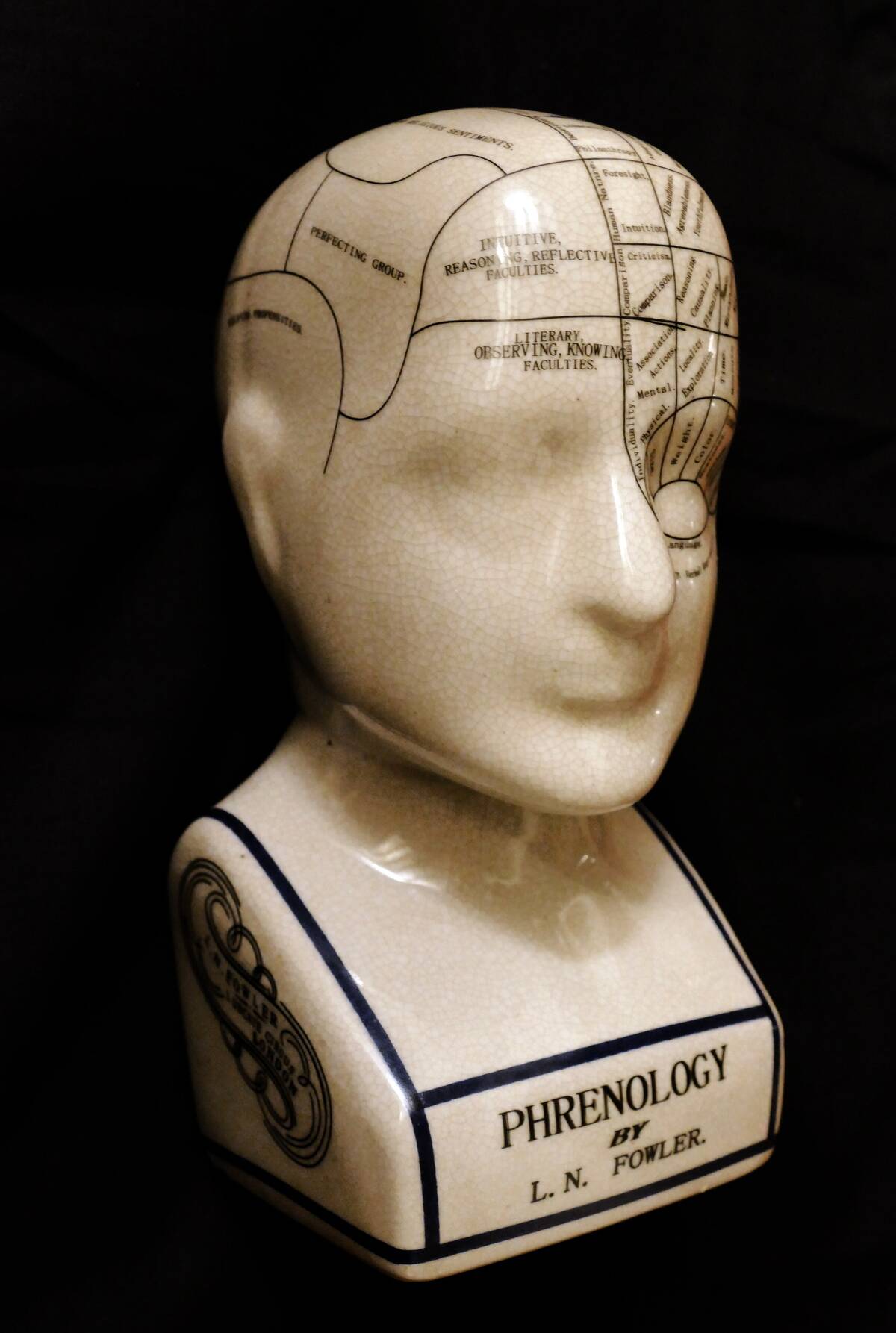 Phrenological head showing chart of areas of the brain.