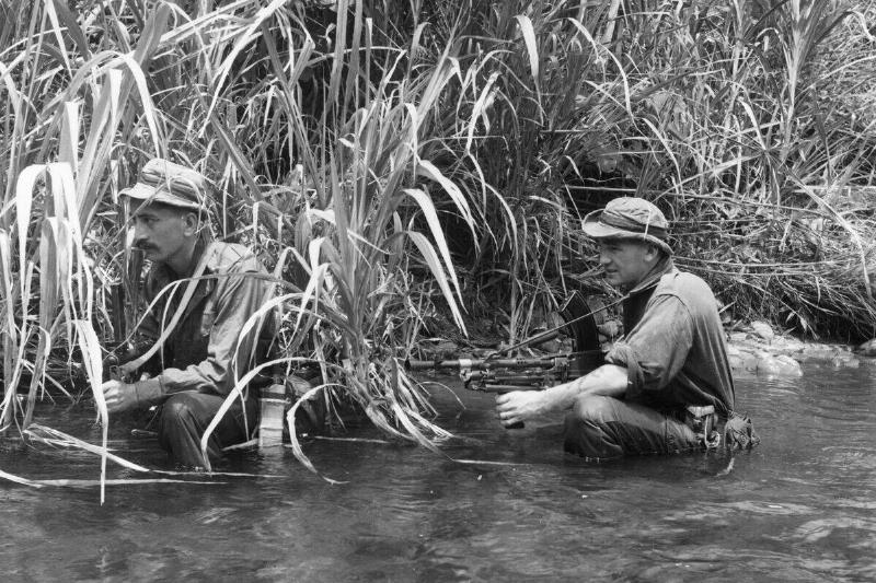 Watching For Bandits