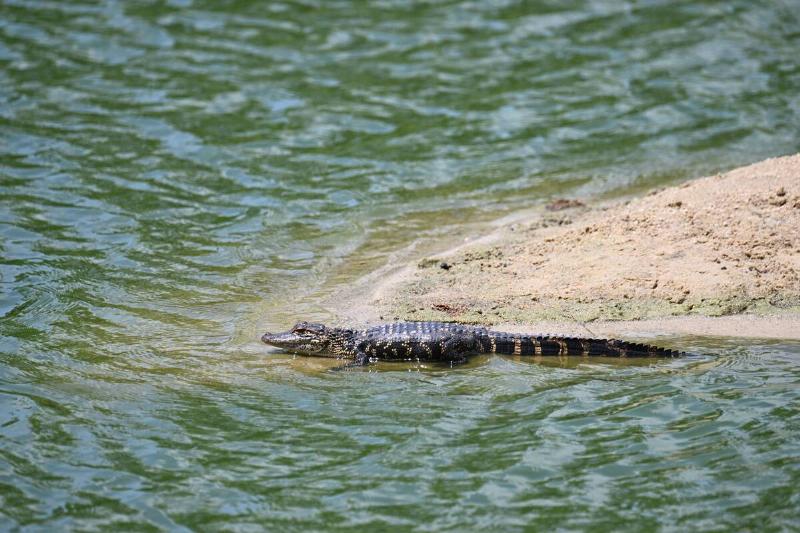 Zurich Classic of New Orleans - Round Two