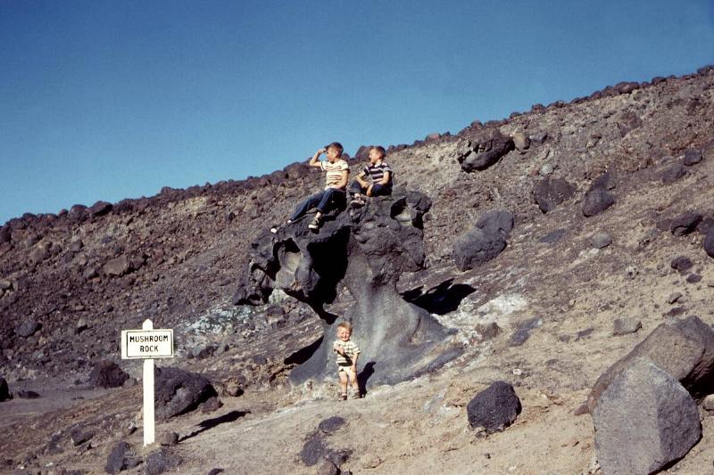 1950s summer vacations