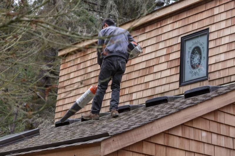 Man with leaf blower on roof. 