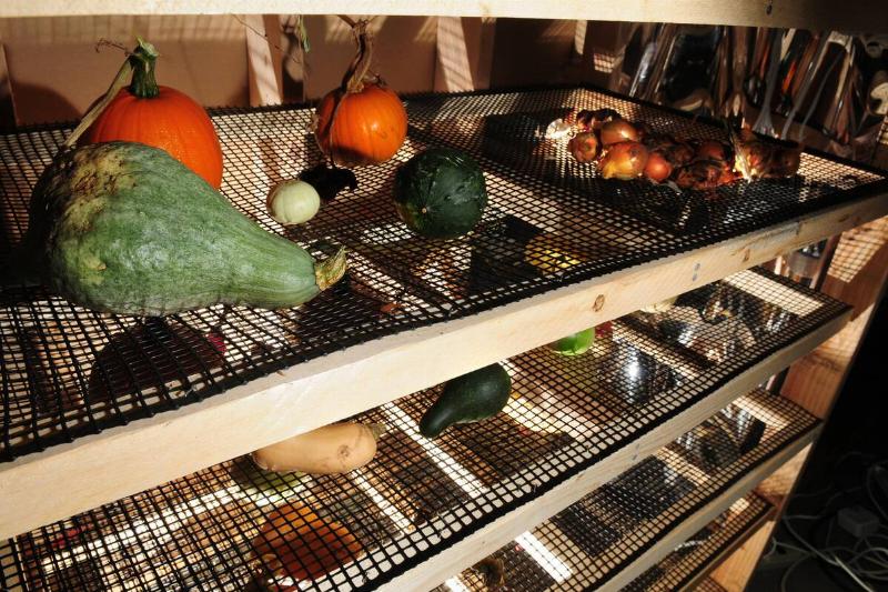 A shelf with a variety of vegetables is seen in a root cellar.