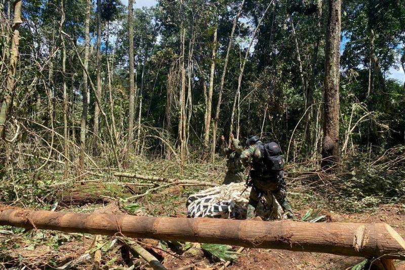 Search and rescue teams of Colombian Army conduct operation at the scene after a plane crashed in the jungle.
