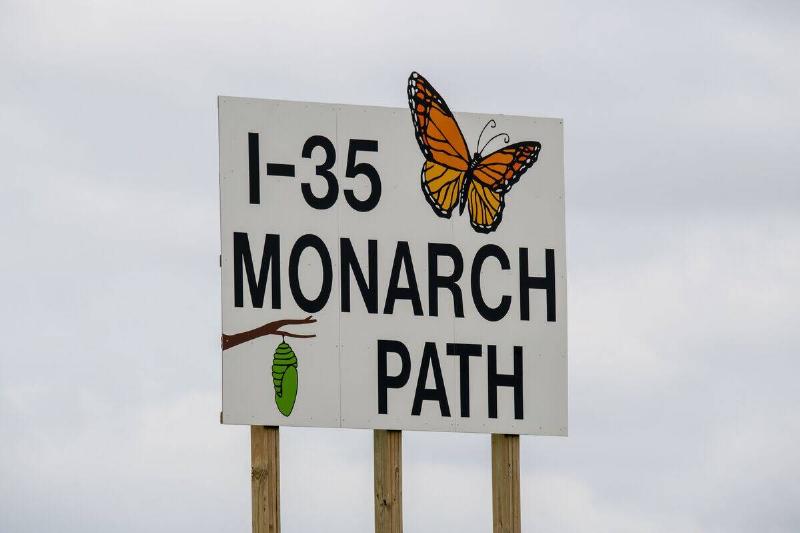 The Monarch highway runs from Texas to Duluth, Minnesota, It aligns with the central flyway of the eastern migratory population of the monarch butterfly, Iowa.