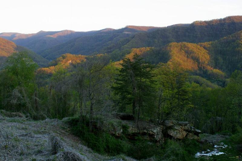 The Kentucky side of Black Lake. 