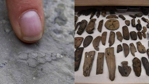 MSN Feature Image - 2025-07-31T134824.274