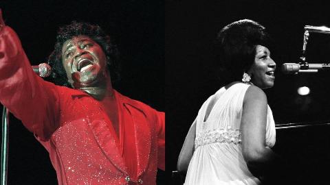 MSN Feature Image - 2025-07-31T165324.809